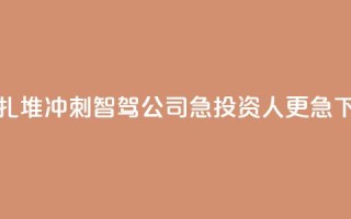 逆风扎堆冲刺IPO，智驾公司急，投资人更急