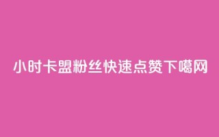 24小时卡盟粉丝 - dy快速点赞
