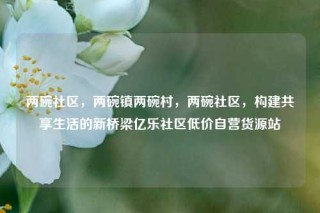 两碗社区，两碗镇两碗村，两碗社区，构建共享生活的新桥梁亿乐社区低价自营货源站