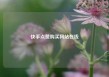 快手点赞购买网站在线