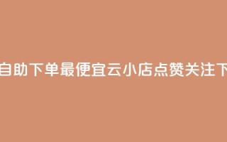 全网自助下单最便宜云小店 - 点赞关注app