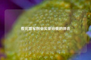 看完雷军创业实录给我的体会