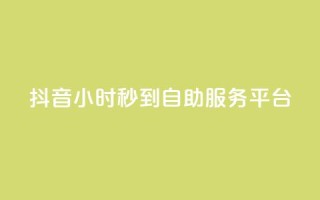 抖音24小时秒到自助服务平台,快手24小时自助免费下单软件 - ks买赞软件百货商城 - 抖音业务下单免费