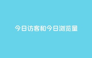 今日访客和今日浏览量,q赞助手最新版下载 - qq绝版名片代码大全 - 抖音下单24小时