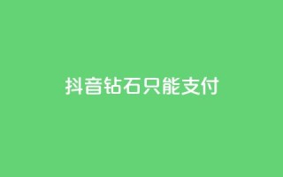 抖音钻石只能apple支付,快手网红免费网站 - dy买号 - 快手打call刷新的网站