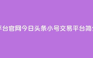 今日头条小号出售平台官网 - 今日头条小号交易平台简介与使用指南~