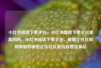 小红书阅读下单平台，小红书阅读下单平台是真的吗，小红书阅读下单平台，解锁个性化购物体验的秘密亿乐社区低价自营货源站