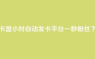 游戏卡盟24小时自动发卡平台 - 一秒1w粉丝app