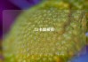 553卡盟被抓