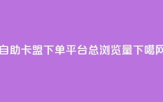 自助卡盟下单平台 - QQ总浏览量