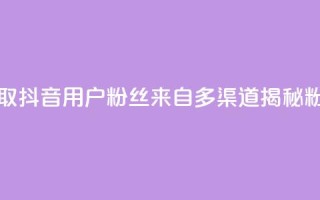 抖音粉丝从哪里来获取 - 抖音用户粉丝来自多渠道？揭秘粉丝来源的秘密！~