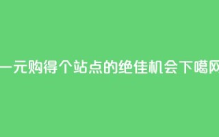 一元购得100个ks站点的绝佳机会