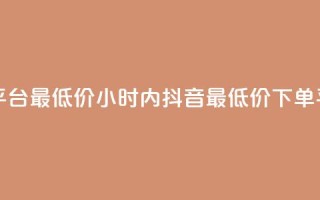 24小时抖音下单平台最低价 - 24小时内抖音最低价下单平台推荐。