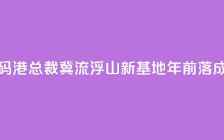 香港数码港总裁：冀流浮山新基地2030年前落成