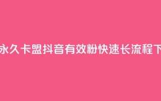 qq绿钻永久卡盟 - 抖音500有效粉快速长流程