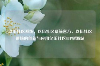 玖伍社区系统，玖伍社区系统官方，玖伍社区系统的创新与应用亿乐社区SUP货源站