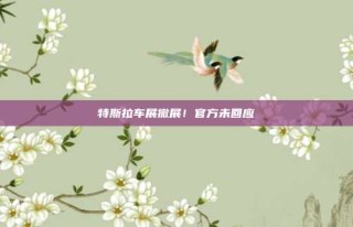 特斯拉车展撤展！官方未回应