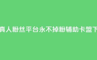 快手真人粉丝平台 永不掉粉 - CF辅助卡盟