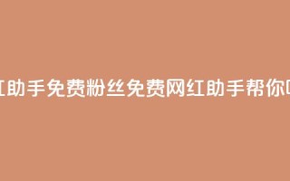 网红助手免费粉丝(免费网红助手帮你吸粉)
