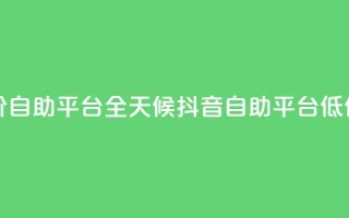 24小时抖音业务低价自助平台 - 全天候抖音自助平台低价服务上线~