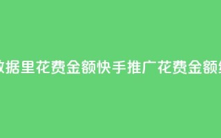 快手推广消耗数据里花费金额 - 快手推广花费金额统计数据。