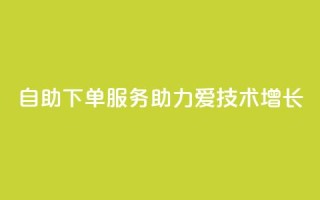 自助下单服务助力爱Q技术增长