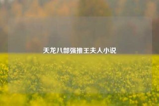 天龙八部强推王夫人小说