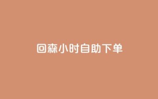 回森24小时自助下单,qq下单平台全网最低价 - 哔哩哔哩业务自助平台 - 点赞网