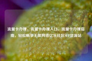 流量卡办理，流量卡办理入口，流量卡办理指南，轻松畅享无限网络亿乐社区SUP货源站