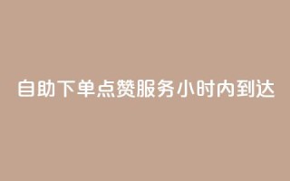 自助下单点赞服务24小时内到达