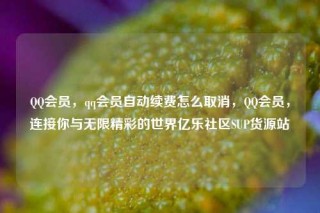QQ会员，qq会员自动续费怎么取消，QQ会员，连接你与无限精彩的世界亿乐社区SUP货源站