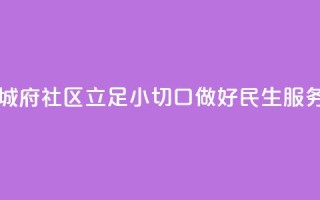 宁夏银川颐和城府社区：立足“小切口” 做好民生服务“大文章”