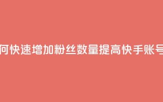 1元3000粉丝快手不掉粉 - 如何快速增加粉丝数量，提高快手账号的粉丝稳定性~