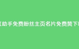 网红助手免费粉丝 - QQ主页名片免费赞