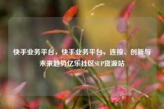 快手业务平台，快手业务平台，连接、创新与未来趋势亿乐社区SUP货源站