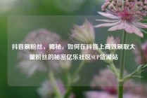 抖音刷粉丝，揭秘，如何在抖音上高效刷取大量粉丝的秘密亿乐社区SUP货源站