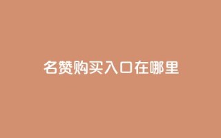 qq名赞购买入口在哪里,快手24小时在线下单平台免费 - 抖音24h业务 - 快手抖音免费播放量网站