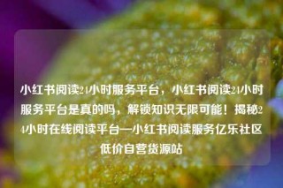 小红书阅读24小时服务平台，小红书阅读24小时服务平台是真的吗，解锁知识无限可能！揭秘24小时在线阅读平台—小红书阅读服务亿乐社区低价自营货源站