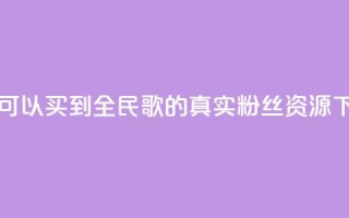 哪里可以买到全民K歌的真实粉丝资源