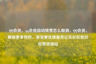 QQ会员，qq会员自动续费怎么取消，QQ会员，解锁更多特权，享受更优质服务亿乐社区低价自营货源站