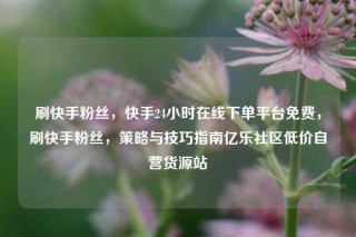 刷快手粉丝，快手24小时在线下单平台免费，刷快手粉丝，策略与技巧指南亿乐社区低价自营货源站
