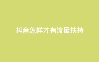 抖音怎样才有流量扶持,抖音粉丝超级低价业务平台 - 抖音10000播放量软件 - QQ空间访客记录多久清空