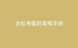 小红书低价买号平台,24自助下单 - 全网最便宜快手业务网站 - qq业务卡盟网站最低价