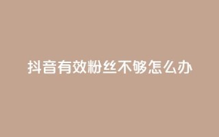 抖音有效粉丝不够500怎么办,抖音快手闪现集合 - 快手24小时下单业务微信支付 - 彩虹授权官网cccyun