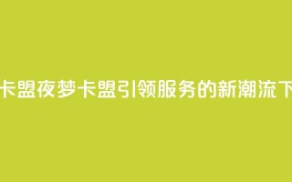 夜梦卡盟 - 夜梦卡盟：引领SEO服务的新潮流~