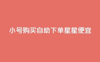 qq小号购买自助下单星星便宜,1000个粉丝100元真实吗 - 一元买500个赞 - 免费获赞自动下单平台网站