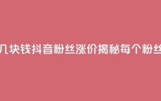 抖音涨一个粉丝几块钱 - 抖音粉丝涨价揭秘：每个粉丝值多少钱~