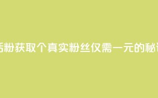 粉丝一元1000个活粉 - 获取1000个真实粉丝仅需一元的秘诀分享~