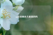 qq会员刷永久是真的吗