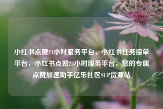 小红书点赞24小时服务平台，小红书任务接单平台，小红书点赞24小时服务平台，您的专属点赞加速助手亿乐社区SUP货源站